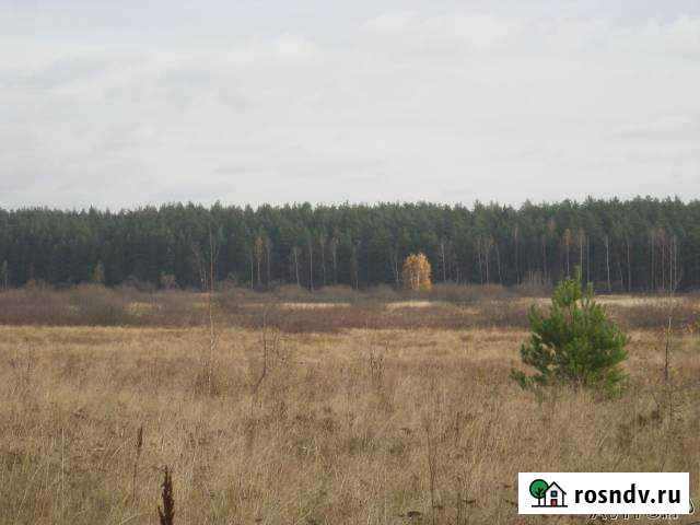 Участок ИЖС 20 сот. на продажу в Спас-Клепиках Спас-Клепики - изображение 1