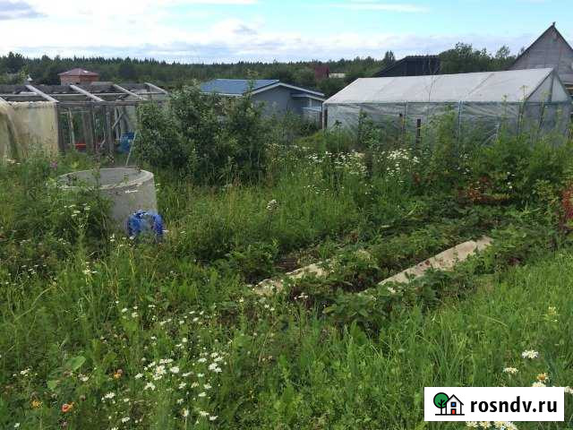 Участок СНТ, ДНП 5 сот. на продажу в Лесколово Лесколово - изображение 1
