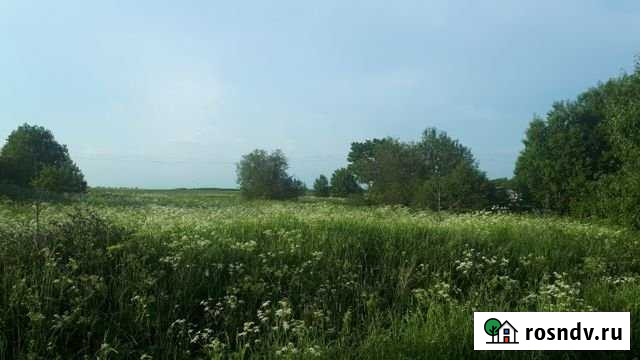 Участок ИЖС 23 сот. на продажу в Кингисеппе Кингисепп - изображение 1