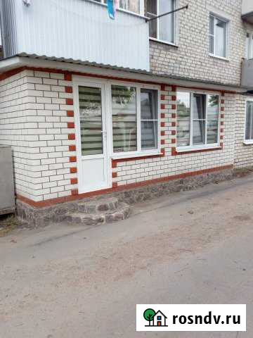 1-комнатная квартира, 44 м², 1/3 эт. в аренду посуточно в Павловске Воронежской области Павловск - изображение 1