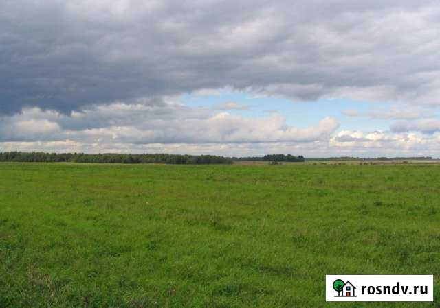 Участок СНТ, ДНП 20 сот. на продажу в Александрове Александров - изображение 1