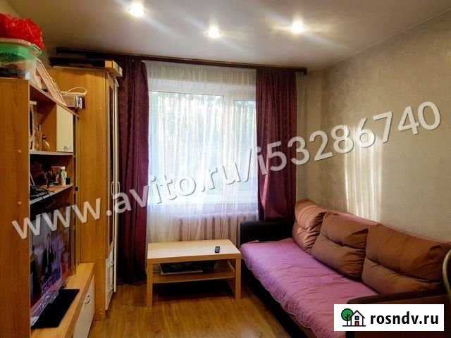 1-комнатная квартира, 29.7 м², 1/5 эт. на продажу в Пскове Псков - изображение 1