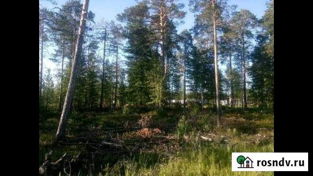 Участок СНТ, ДНП 12 сот. на продажу в Сургуте Ханты-Мансийского АО Сургут - изображение 1