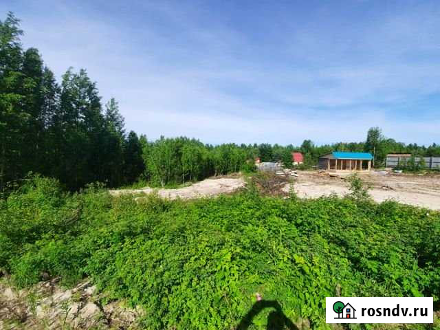 Участок СНТ, ДНП 10 сот. на продажу в Ханты-Мансийске Ханты-Мансийск - изображение 1