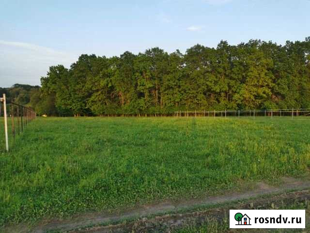 Участок ИЖС 15 сот. на продажу в Туле Тула - изображение 1