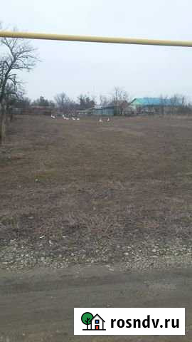 Участок ИЖС 18 сот. на продажу в Камышеватской Камышеватская - изображение 1