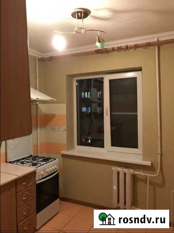 1-комнатная квартира, 31 м², 4/5 эт. в аренду на длительный срок в Майкопе Майкоп - изображение 1