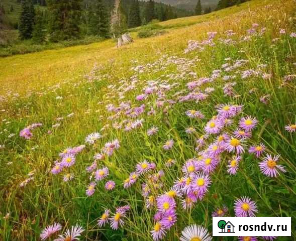 Участок ИЖС 16 сот. на продажу в Кирово-Чепецке Кирово-Чепецк - изображение 1