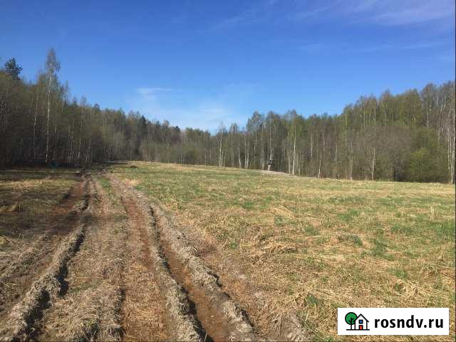 Участок СНТ, ДНП 123 сот. на продажу в Кондопоге Кондопога - изображение 1