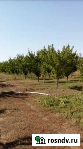 Участок СНТ, ДНП 240 сот. на продажу в Началово Началово - изображение 1