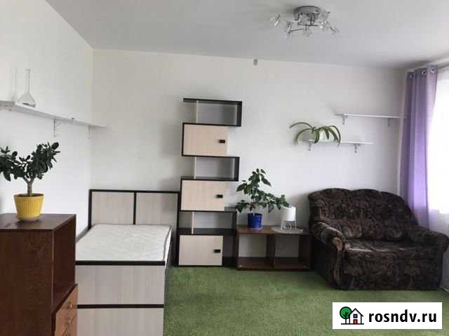 Квартира-студия, 37 м², 1/5 эт. в аренду на длительный срок в Петрозаводске Петрозаводск - изображение 1