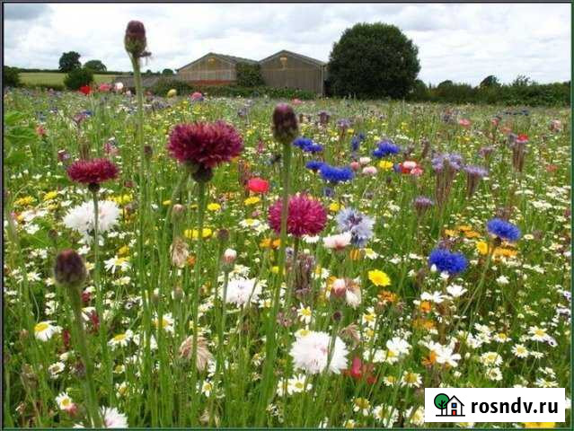 Участок ИЖС 18 сот. на продажу в Саранске Саранск - изображение 1