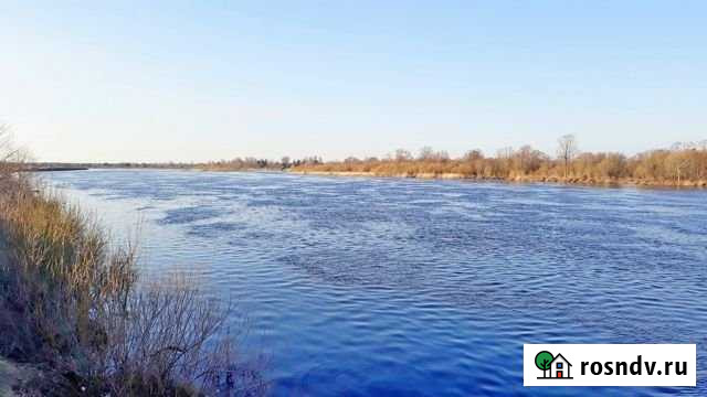 Участок ИЖС 38 сот. на продажу в Ивангороде Ивангород - изображение 1