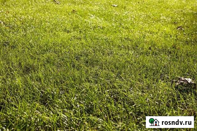 Участок СНТ, ДНП 4 сот. на продажу в Чкаловске Чкаловск - изображение 1