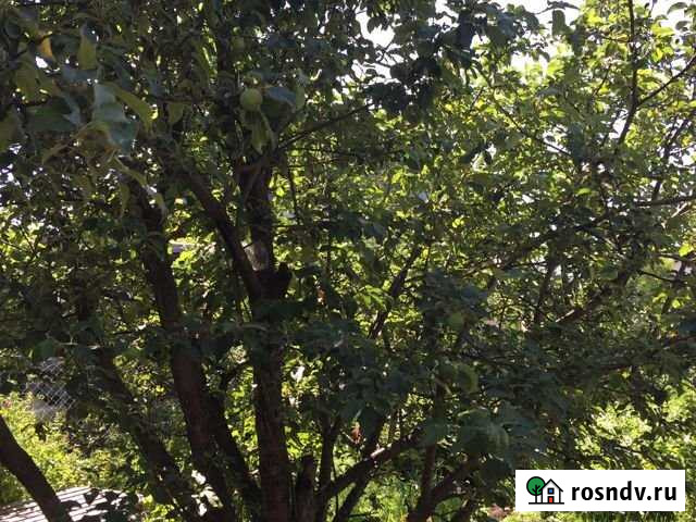 Дача 65 м² на участке 6 сот. на продажу в Екатеринбурге Екатеринбург - изображение 1