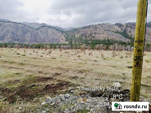 Участок СНТ, ДНП 100 сот. на продажу в Бийске Бийск - изображение 1