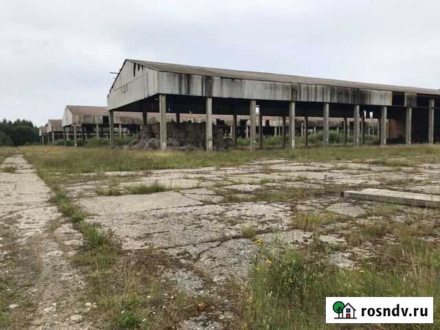 Продам ангар (шаха) с земельным участком Шексна - изображение 1