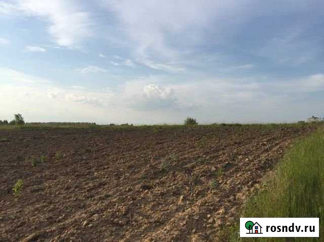 Участок СНТ, ДНП 8 сот. на продажу в Путевке Путевка - изображение 1