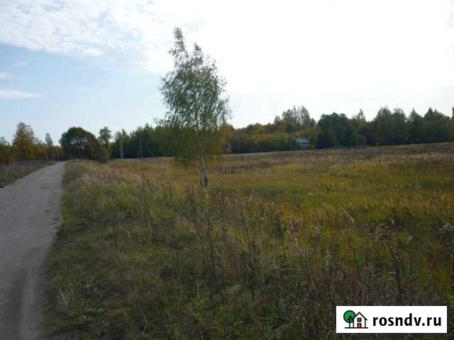 Участок СНТ, ДНП 970 сот. на продажу в Лесном Рязанской области Лесной - изображение 1