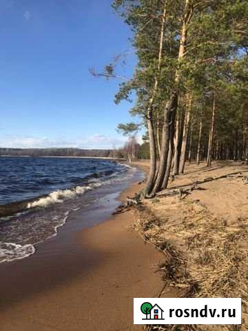 Участок ИЖС 10 сот. на продажу в Красносельском Ленинградской области Красносельское - изображение 1