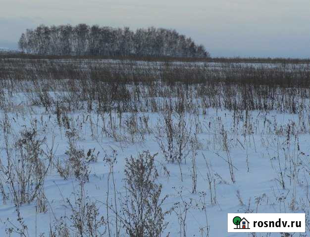 Участок СНТ, ДНП 3000 сот. в аренду в Красноярске Красноярск - изображение 1