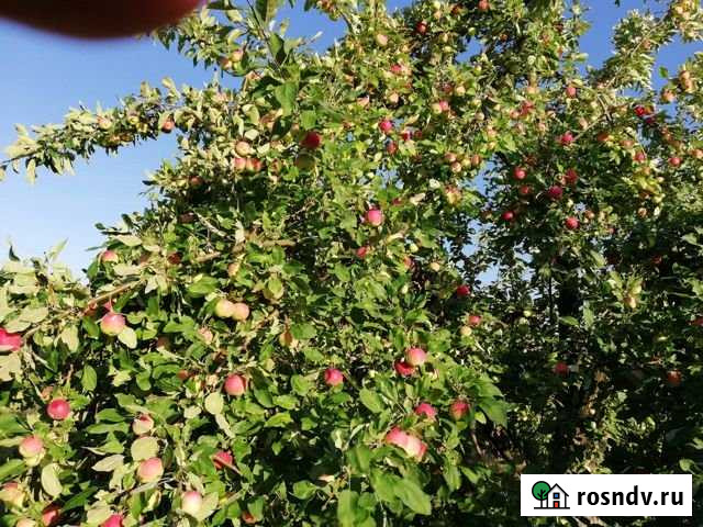 Дача 20 м² на участке 7 сот. на продажу в Мурмино Мурмино - изображение 1