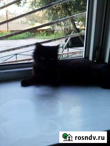 Дом 56 м² на участке 12 сот. на продажу в Городище Пензенской области Городище - изображение 1