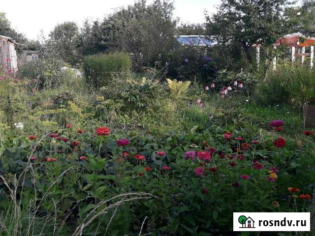 Участок СНТ, ДНП 7 сот. на продажу в Кирове Киров - изображение 1