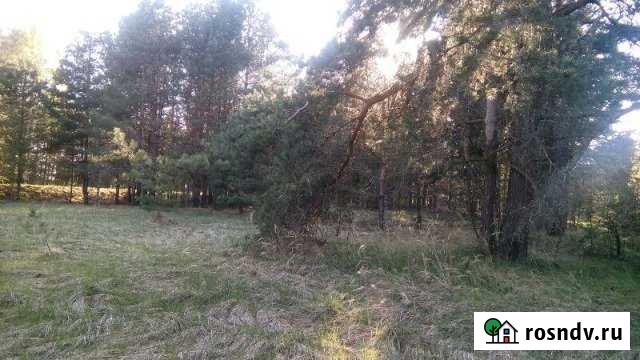 Участок ИЖС 15 сот. на продажу в Невеле Невель - изображение 1