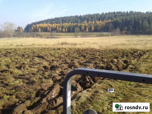 Участок СНТ, ДНП 30 сот. на продажу в Кудымкаре Кудымкар - изображение 1