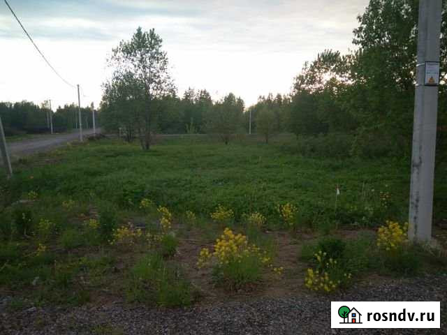 Участок СНТ, ДНП 12 сот. на продажу в Жабино Жабино - изображение 1