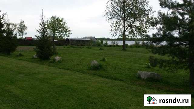 Участок ИЖС 20 сот. на продажу в Панковке Панковка - изображение 1