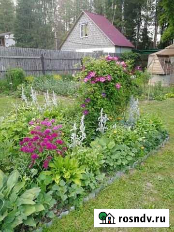 Дача 20 м² на участке 8 сот. на продажу во Фрязино Фрязино - изображение 1