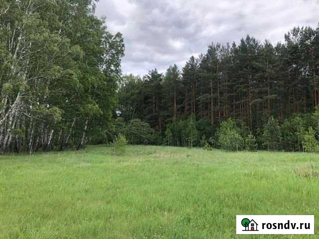 Участок ИЖС 20 сот. на продажу в Ордынском Ордынское - изображение 1