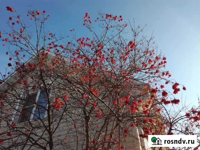 Дача 90 м² на участке 6 сот. на продажу в Челябинске Челябинск - изображение 1