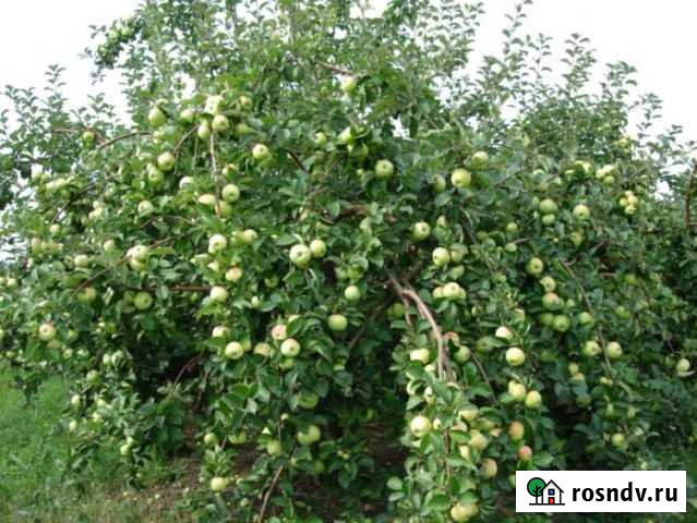 Участок ИЖС 15 сот. на продажу в Новоульяновске Новоульяновск - изображение 1