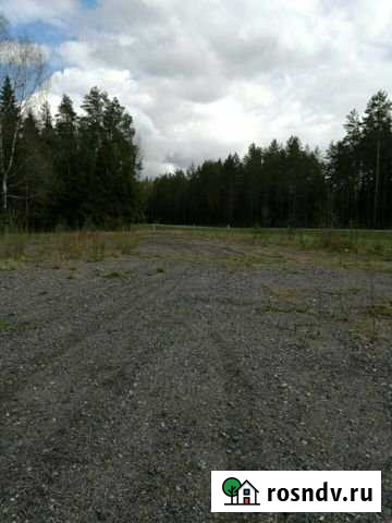 Участок СНТ, ДНП 100 сот. в аренду в Тихвине Тихвин - изображение 1