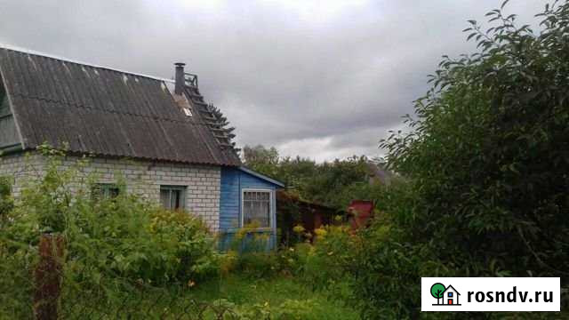 Дача 20 м² на участке 6 сот. на продажу в Пскове Псков - изображение 1