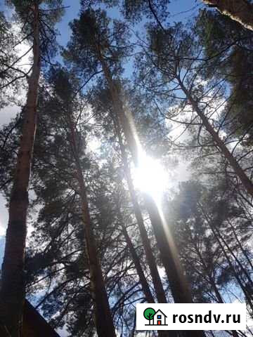 Участок СНТ, ДНП 9 сот. на продажу в Речицах Речицы - изображение 1