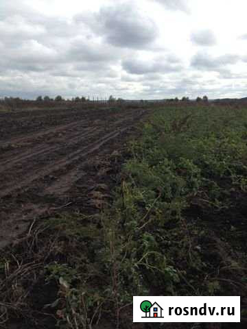 Участок ИЖС 13 сот. на продажу в Петрокаменском Петрокаменское - изображение 1