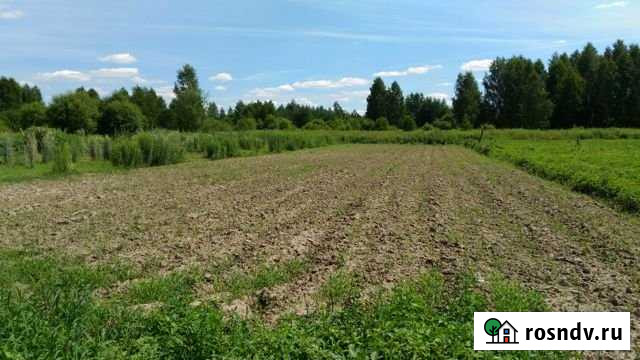 Участок ИЖС 12 сот. на продажу в Бору Бор - изображение 1