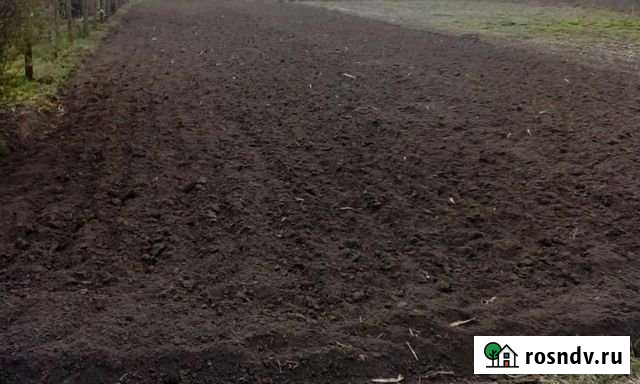 Участок СНТ, ДНП 4 сот. на продажу в Путевке Путевка - изображение 1