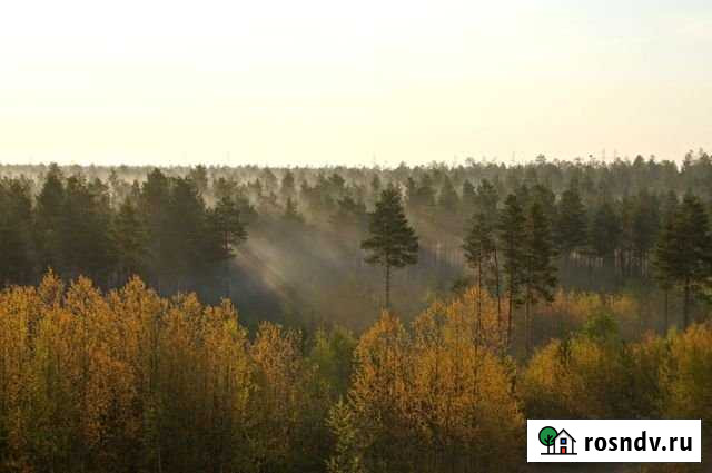 3-комнатная квартира, 65.7 м², 5/5 эт. на продажу в Ноябрьске Ноябрьск - изображение 1