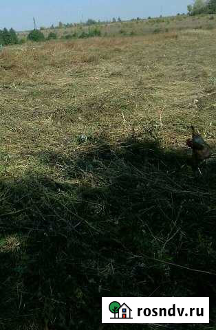 Участок ИЖС 15 сот. на продажу в Мичуринске Мичуринск - изображение 1