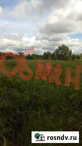 Участок ИЖС 850 сот. на продажу в Кочкурово Кочкурово - изображение 1