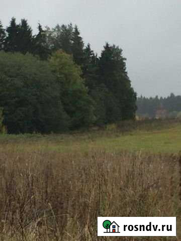 Участок ИЖС 15 сот. на продажу в Елизаветино Елизаветино - изображение 1