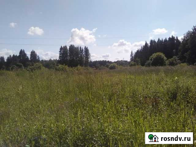 Участок ИЖС 8 сот. на продажу в Рощино Ленинградской области Рощино - изображение 1