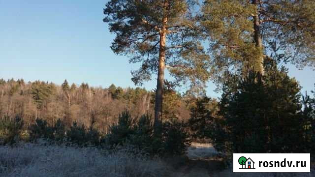 Участок ИЖС 12 сот. на продажу в Перемышле Перемышль - изображение 1