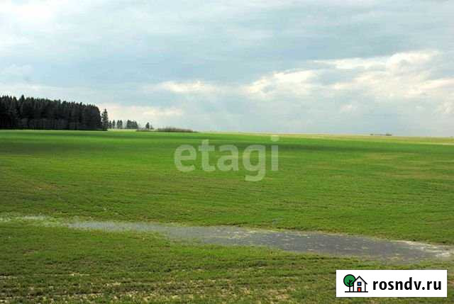 Участок промназначения 900 сот. на продажу в Исетском Исетское - изображение 1