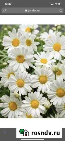 Участок СНТ, ДНП 4 сот. на продажу в Стерлитамаке Стерлитамак - изображение 1